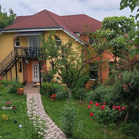 Hotel Casa Liana Oradea Zewnętrze zdjęcie