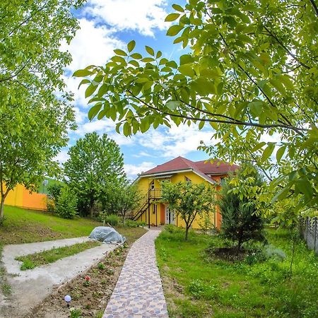 Hotel Casa Liana Oradea Zewnętrze zdjęcie