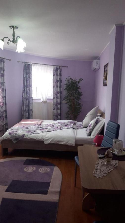 Hotel Casa Liana Oradea Zewnętrze zdjęcie