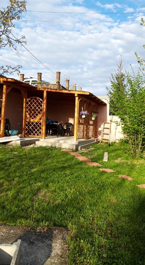 Hotel Casa Liana Oradea Zewnętrze zdjęcie