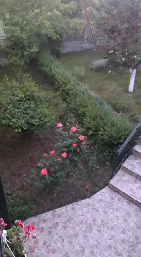 Hotel Casa Liana Oradea Zewnętrze zdjęcie