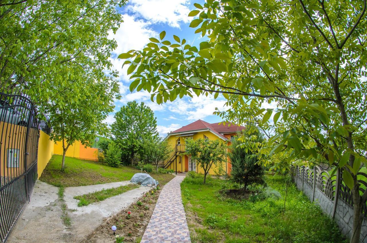 Hotel Casa Liana Oradea Zewnętrze zdjęcie
